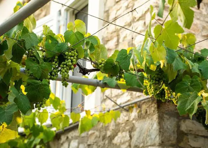 Filippos Traditional - Pool & Garden Retreat *