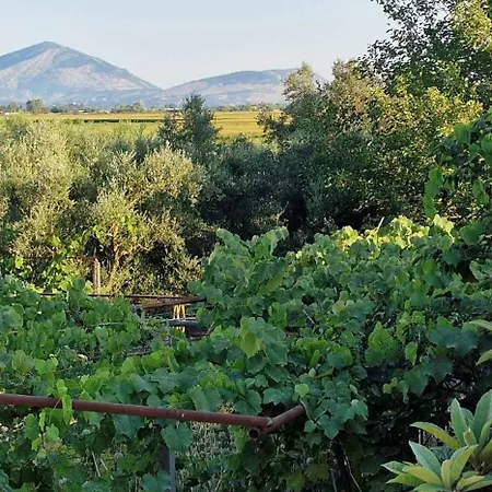 Filippos Traditional Villa - Pool & Garden Retreat Finiq