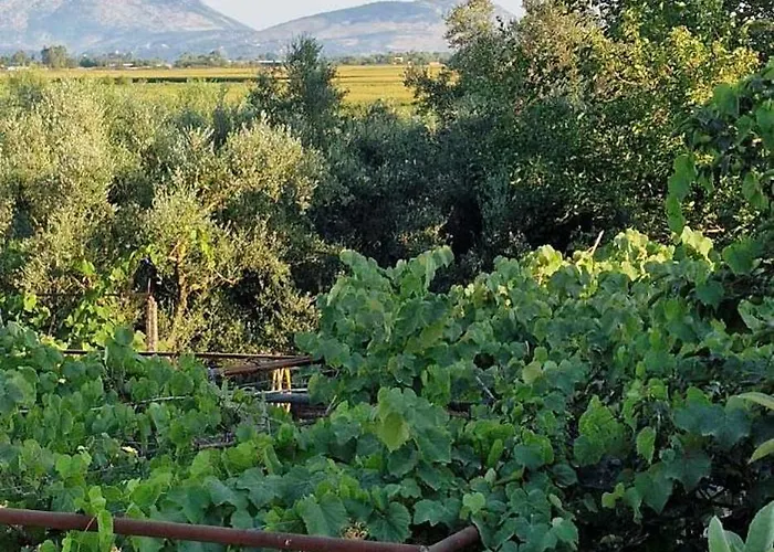 Filippos Traditional - Pool & Garden Retreat Finiq