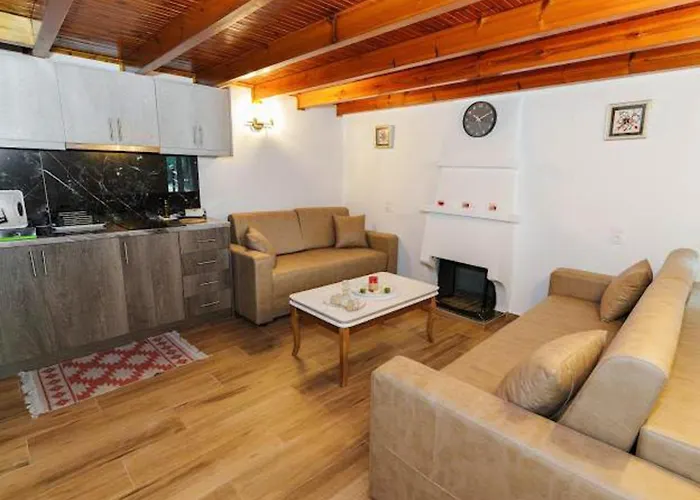 公寓 Filippos Traditional - Pool & Garden Retreat *